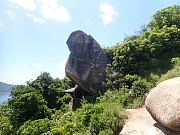 pic_Wai_097.jpg (503867 bytes)