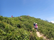 pic_Wai_115.jpg (588440 bytes)