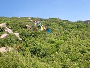 pic_Wai_117.jpg (710814 bytes)