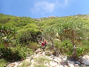 pic_Wai_165.jpg (649667 bytes)