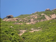 pic_Wai_175.jpg (503342 bytes)