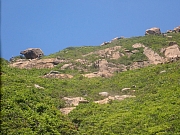 pic_Wai_176.jpg (515158 bytes)