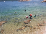 pic_Wai_178.jpg (348169 bytes)