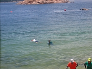 pic_Wai_180.jpg (328079 bytes)