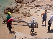 pic_Wai_187.jpg (356265 bytes)