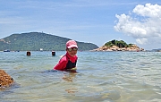 pic_Wai_203.jpg (220142 bytes)