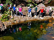 Thumbnail of pic_KC_Leung_45.jpg