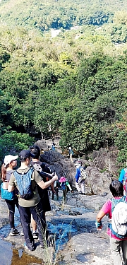 Thumbnail of pic_Lily_Lo_17.jpg