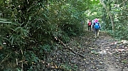 Thumbnail of pic_Victor_Cheng_014.jpg
