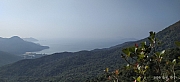 Thumbnail of pic_Sam_Ho_021.jpg