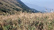 Thumbnail of pic_TB_Tung_037.jpg