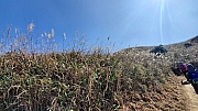 Thumbnail of pic_TB_Tung_039.jpg