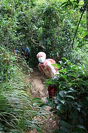 Thumbnail of pic_KL_Sin_012.jpg