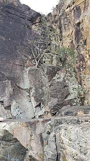 Thumbnail of pic_TB_Tung_015.jpg