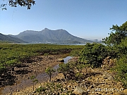 Thumbnail of pic_Sam_Ho_003.jpg