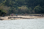 Thumbnail of pic_KL_Sin_157.jpg