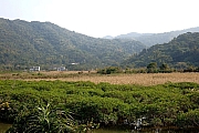 Thumbnail of pic_KL_Sin_158.jpg