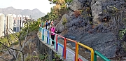 Thumbnail of pic_CW_Ho_014.jpg