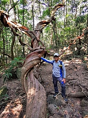 Thumbnail of pic_KC_Leung_026.jpg