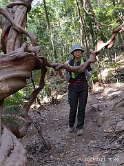 Thumbnail of pic_Sam_Ho_035.jpg