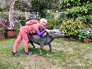 Thumbnail of pic_Sam_Ho_099.jpg
