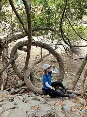 Thumbnail of pic_David_Chan_008.jpg