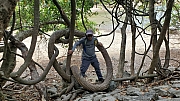 Thumbnail of pic_TB_Tung_028.jpg