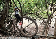 Thumbnail of pic_Tony_Tse_017.jpg