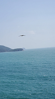 Thumbnail of pic_TB_Tung_040.jpg