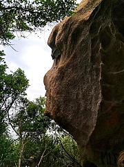 Thumbnail of pic_TK_Fu_017.jpg