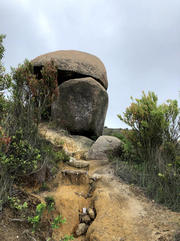 Thumbnail of pic_Paul_Tsang_077.jpg
