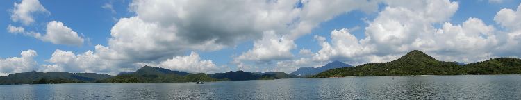 P8220067-1.JPG (246141 bytes)