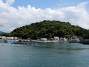 P8220071.JPG (335399 bytes)