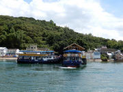 P8220073.JPG (415171 bytes)