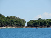 P8220152.JPG (281682 bytes)