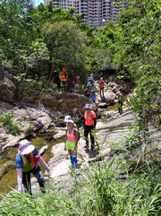 Thumbnail of pic_Sam_Ho_029.jpg