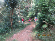 Thumbnail of pic_Derek_Wong_032.JPG