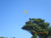 Thumbnail of pic_Derek_Wong_173.JPG