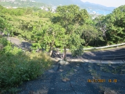 Thumbnail of pic_Derek_Wong_207.JPG