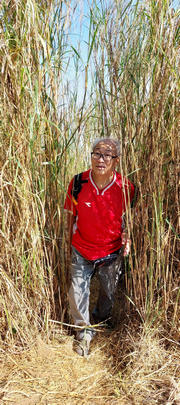 Thumbnail of pic_Esther_Chuk_028.jpg