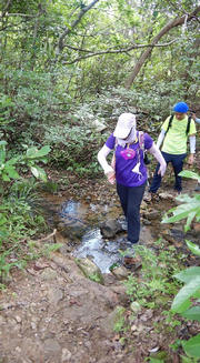 Thumbnail of pic_CW_Ho_039.jpg