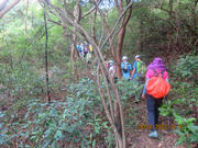 Thumbnail of pic_Derek_Wong_049.JPG
