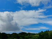 Thumbnail of pic_KK_Lau_033.jpg