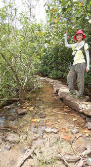 Thumbnail of pic_CW_Ho_011.jpg