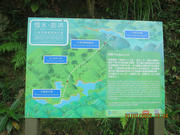 Thumbnail of pic_Derek_Wong_066.JPG