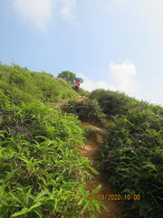 Thumbnail of pic_Derek_Wong_065.JPG