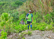 Thumbnail of pic_Sing_Lee_029.jpg