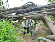 Thumbnail of pic_Sing_Lee_048.jpg