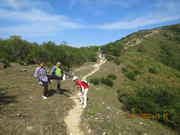 Thumbnail of pic_Derek_Wong_033.JPG