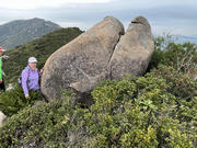 Thumbnail of pic_David_Chan_059.jpg